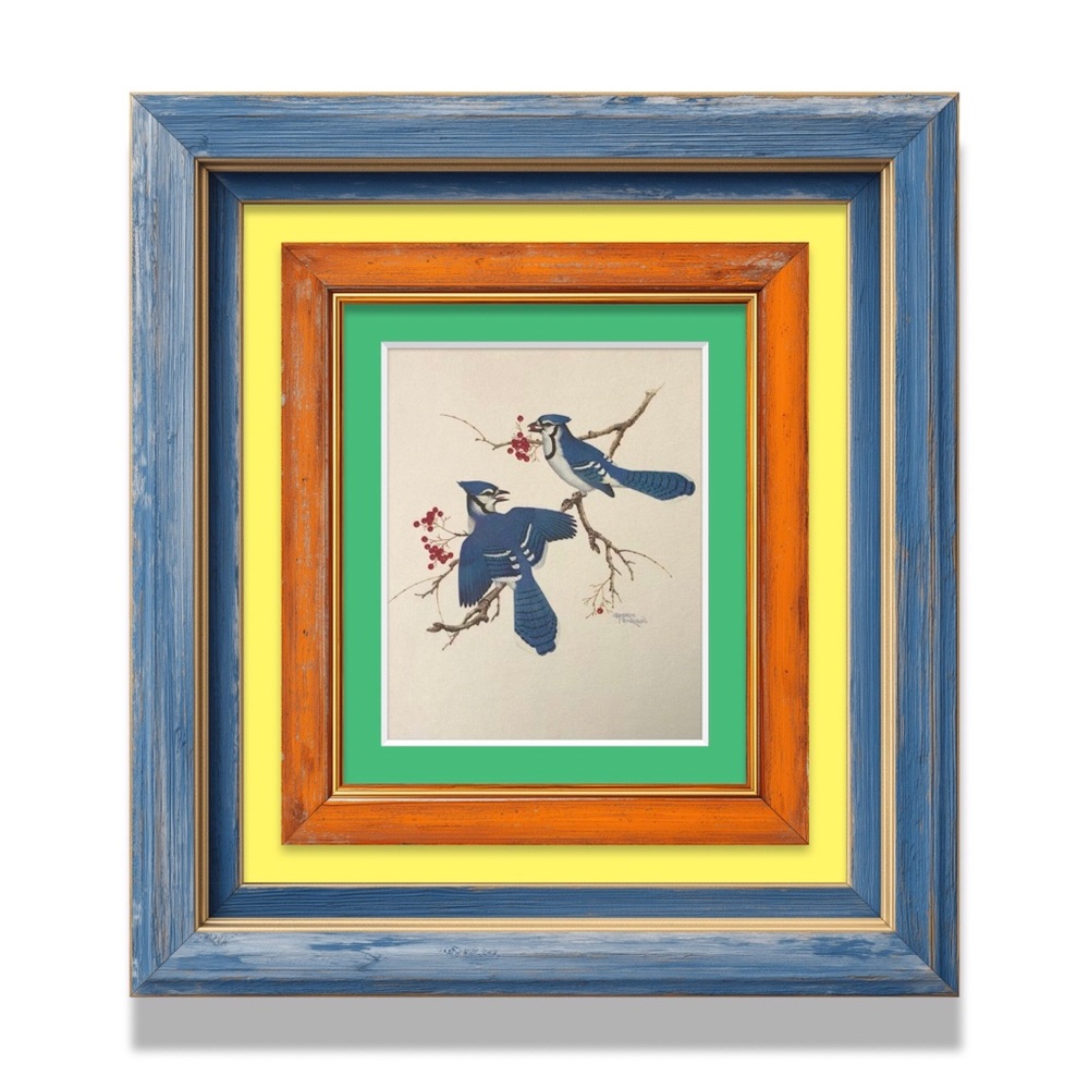 Vintage 1978 "Blue Jay Birds" Art Print